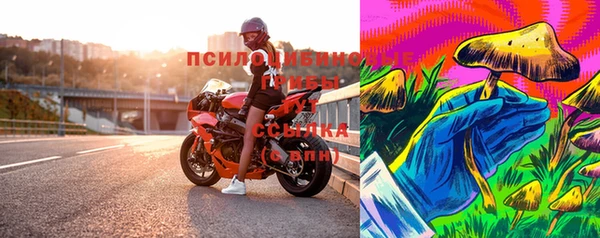 мескалин Богданович