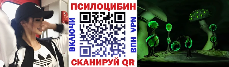 ОМГ ОМГ онион  купить закладку  Каневская  Галлюциногенные грибы MAGIC MUSHROOMS 